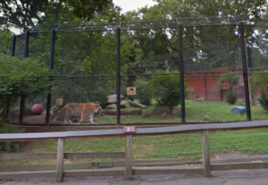 Connecticut Beardsley Zoo 