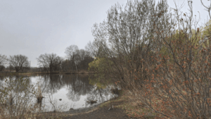 Beaver Pond Park New Haven CT